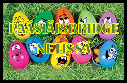 bridgeä netissä