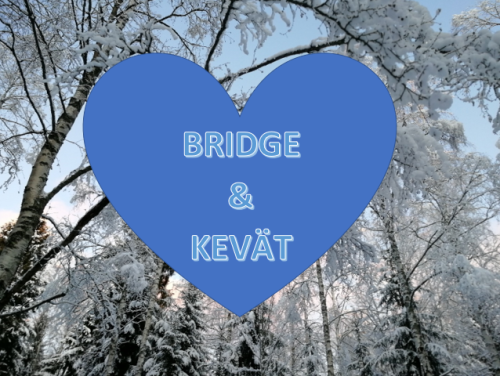 Kevättalvi on bridgeaikaa!